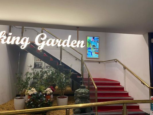 55 inch Transparent LCD Screen